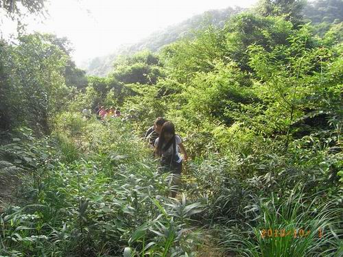 10.1罗浮山一日(图片记录)-赵容部落